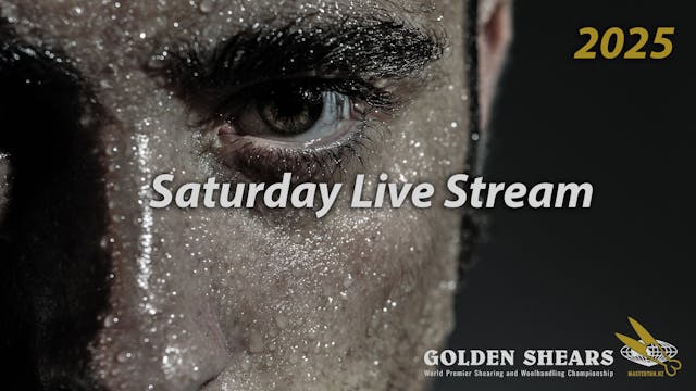 Saturday All Day Live Stream 2025