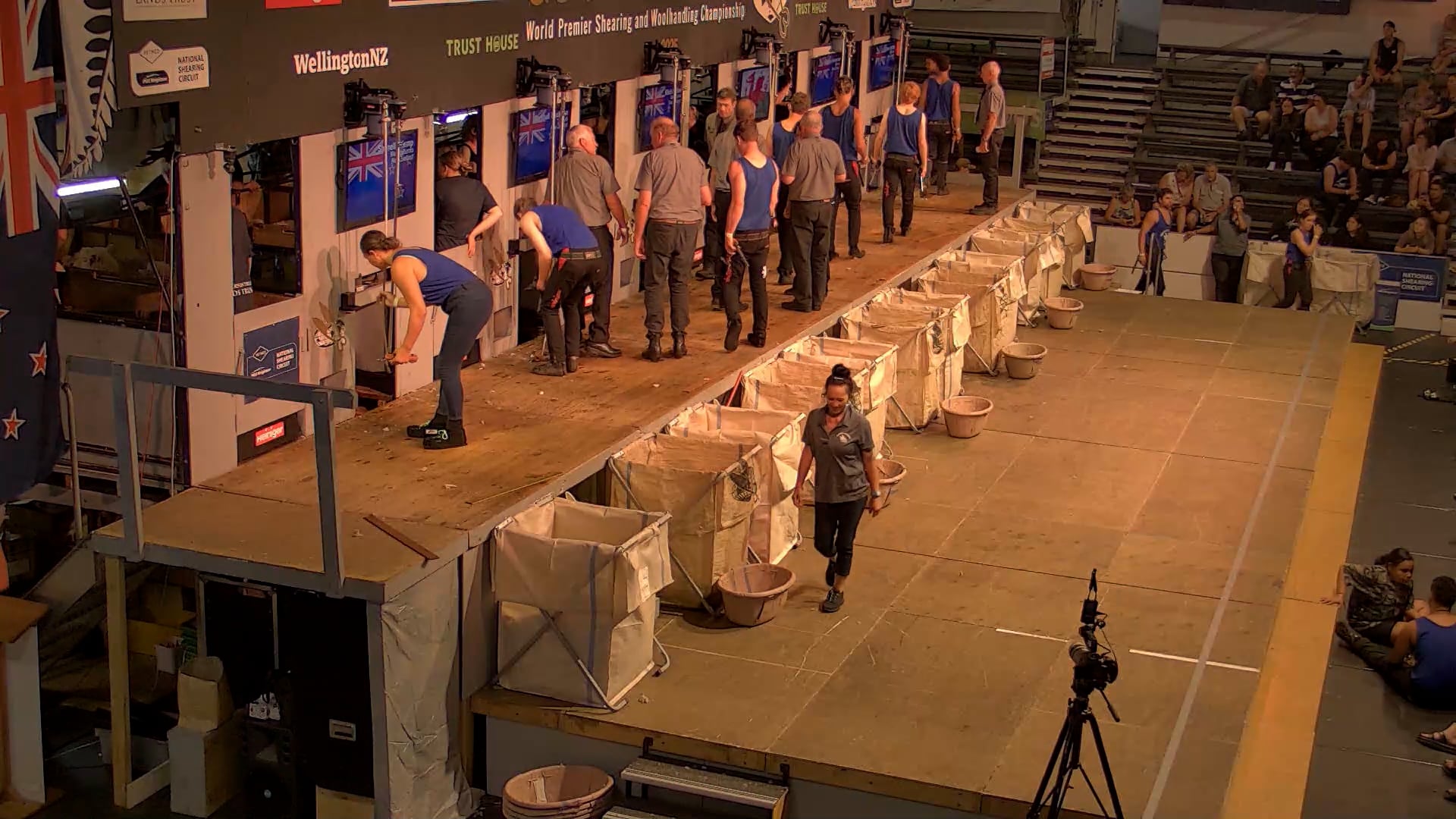 Intermediate Shearing Heats - Round 2