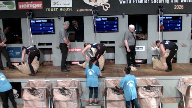 Junior Shearing Heats (2026) - Round 8