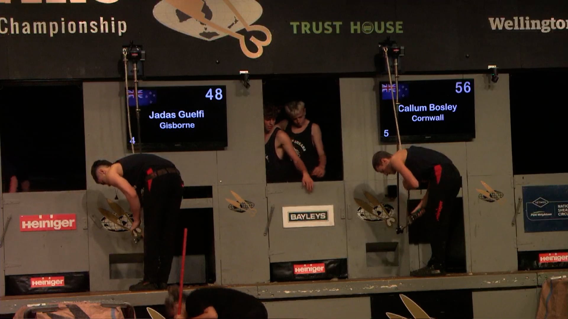 Senior Speed Shearing Semi Finals - Round 2