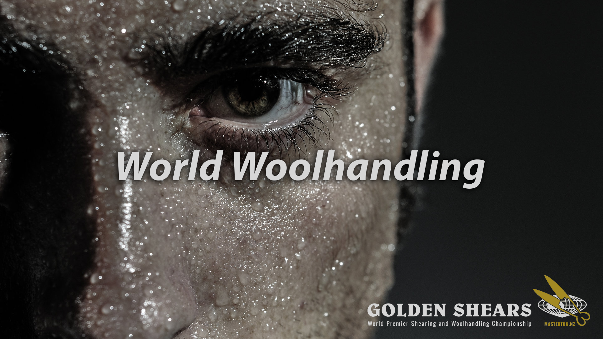 World Woolhandling