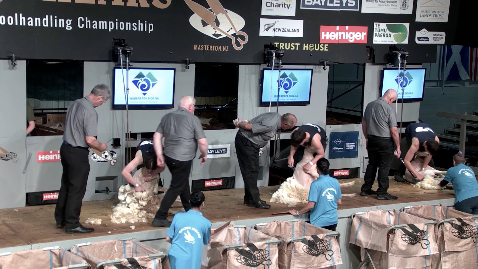 Junior Shearing Heats (2026) - Round 9