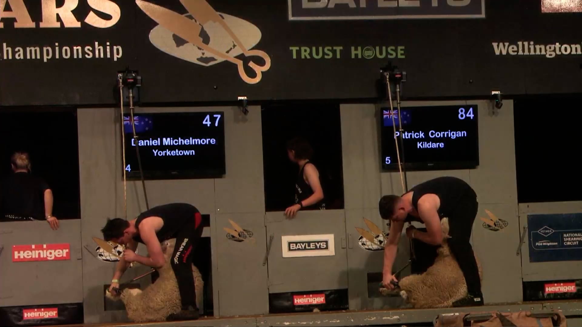Senior Speed Shearing Heats - Round 7