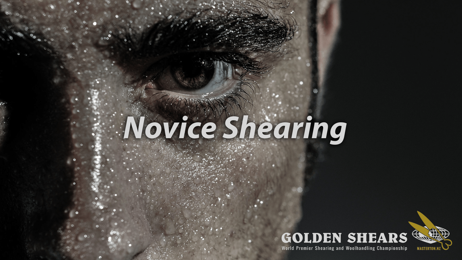 Novice Shearing