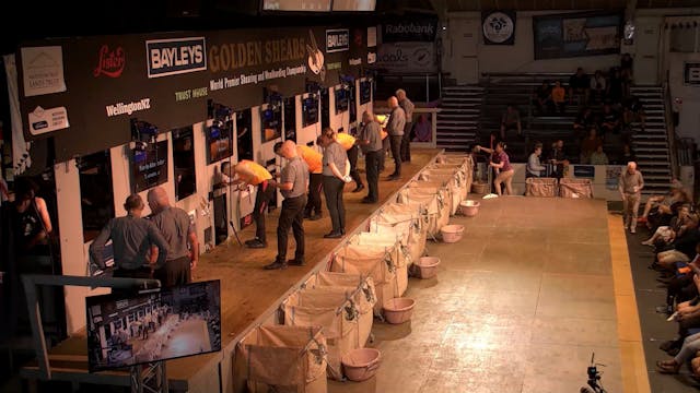 Golden Shears Senior Shearing Heat 5