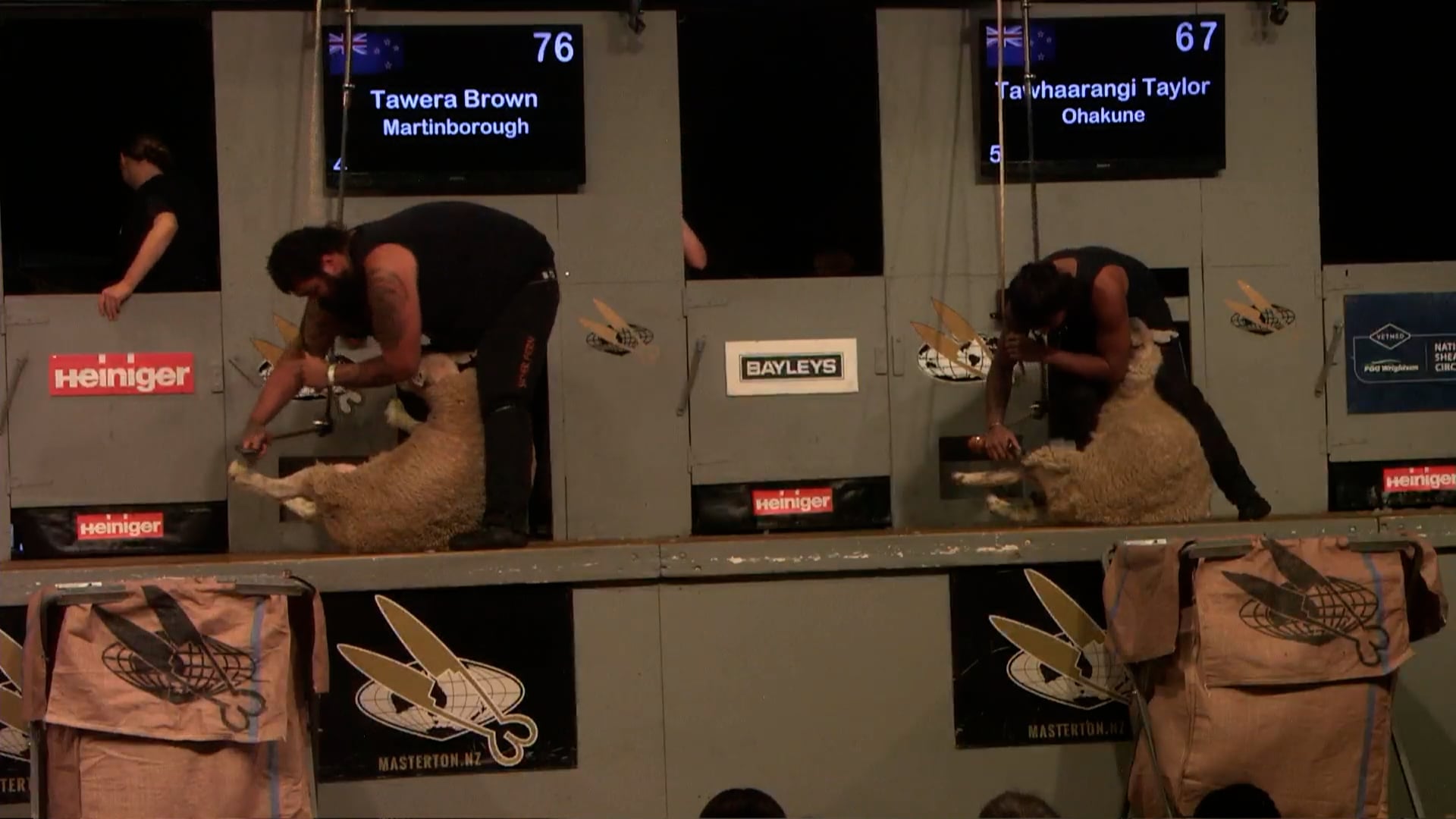 Senior Speed Shearing Heats - Round 10