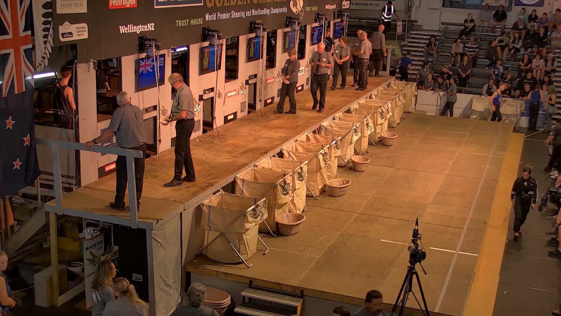 Novice Shearing Heats - Round 9