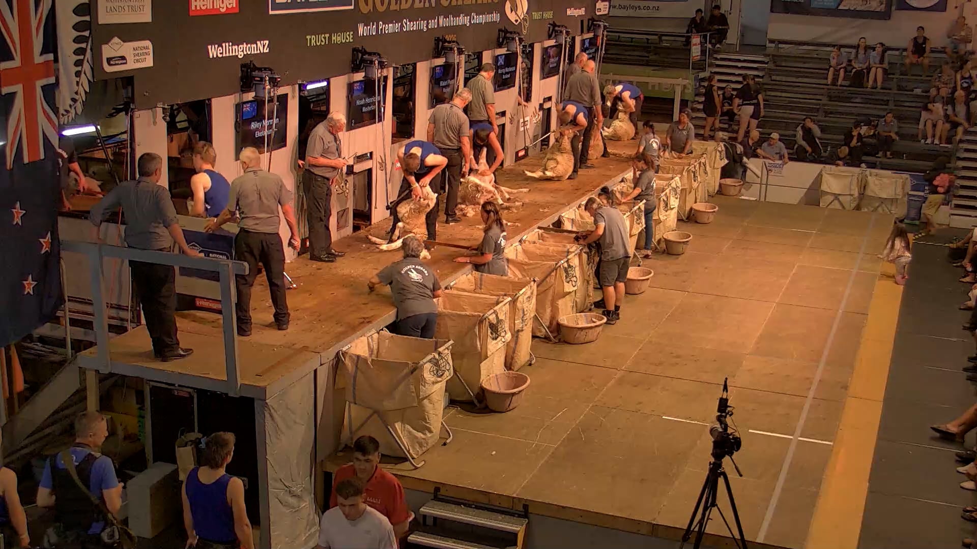 Junior Shearing Heats - Round 5_20250227_141020