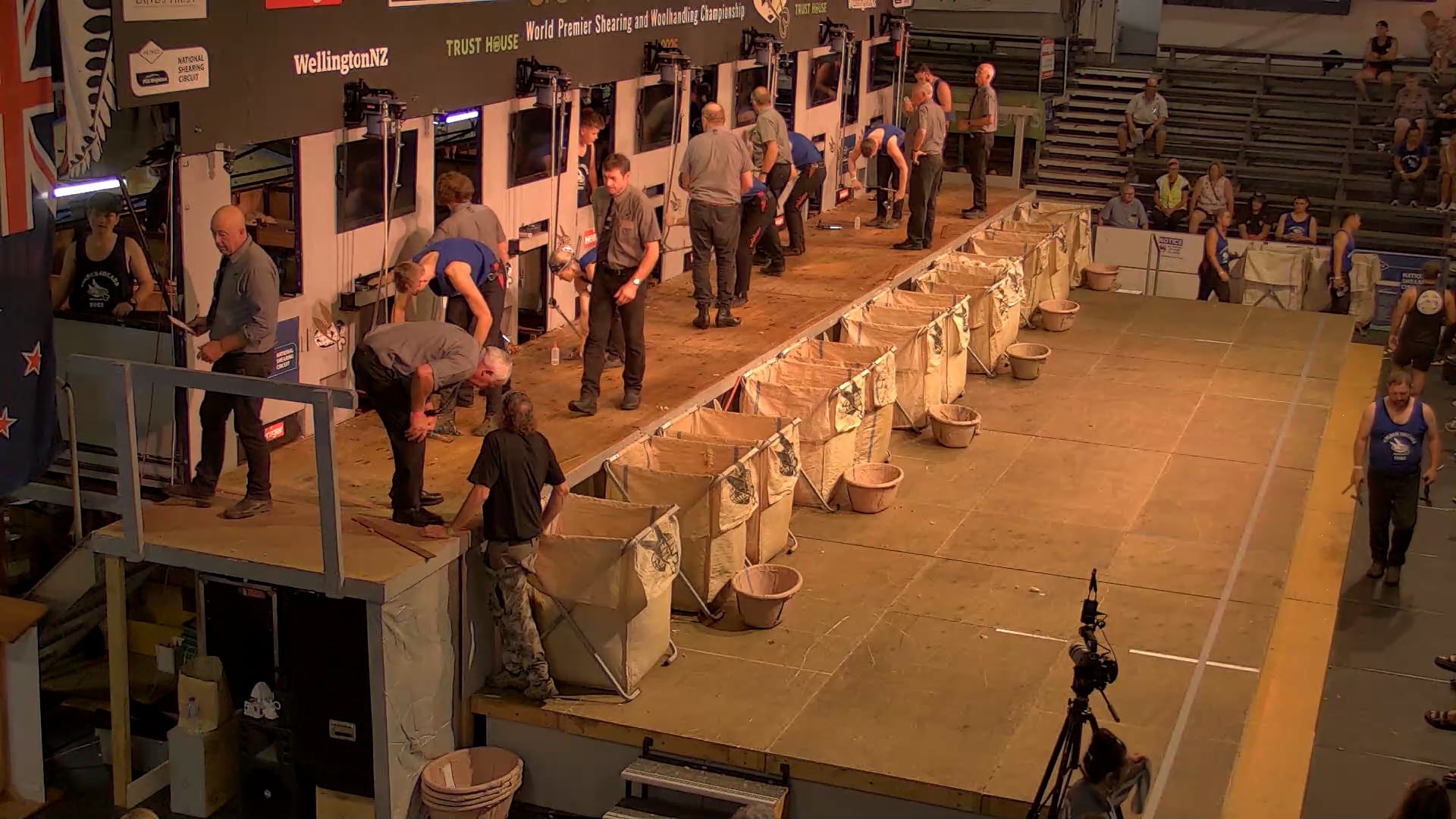Intermediate Shearing Heats - Round 8