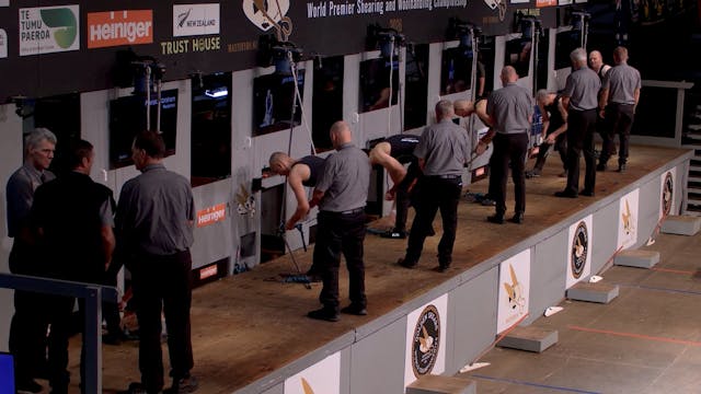 National Circuit Shearing Semi Finals...