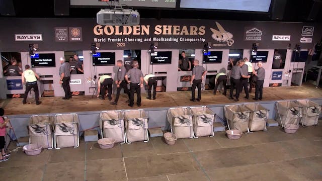 Powerco Senior Shearing  Heat 8