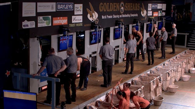 Open Shearing Top 30 (2026) - Round 3