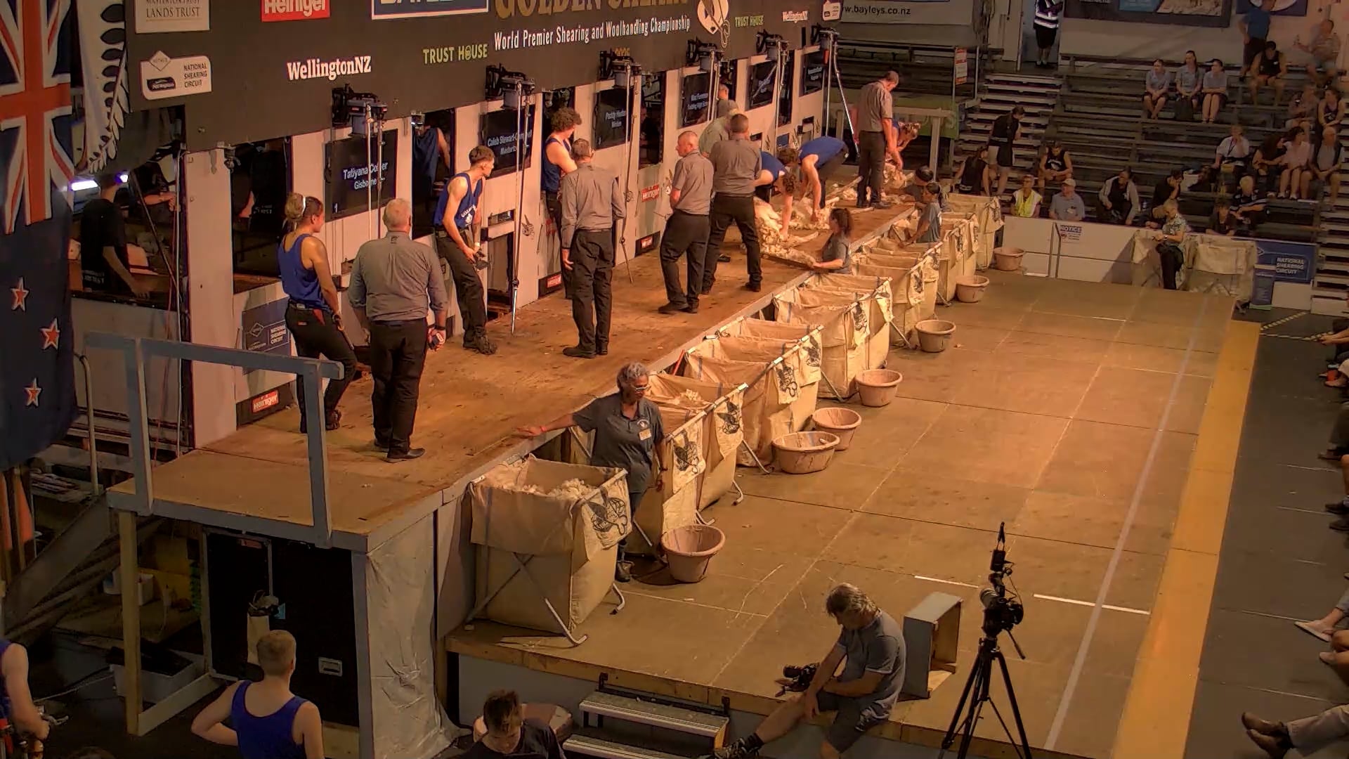 Junior Shearing Heats - Round 4_20250227_140132