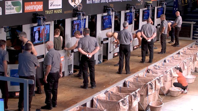 Open Shearing Heats (2026) - Round 7