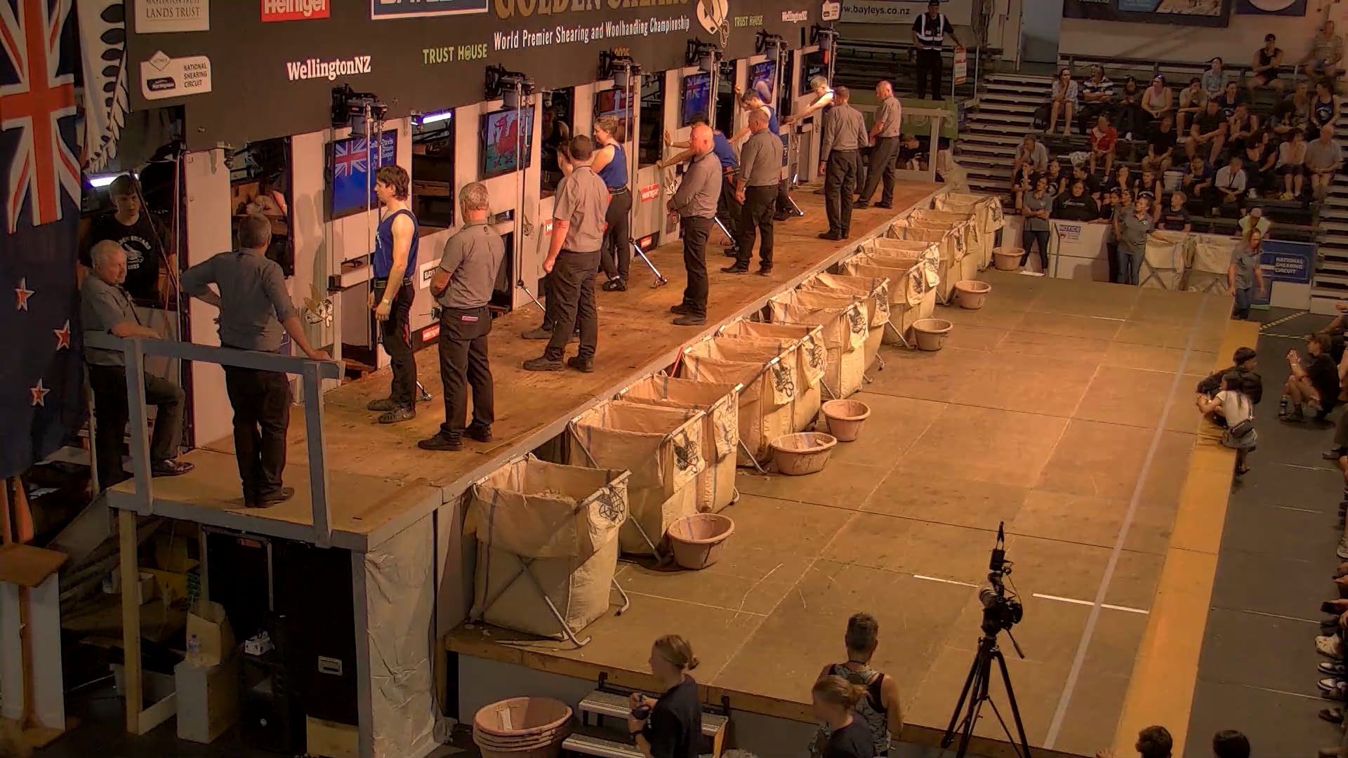 Junior Shearing Heats - Round 10