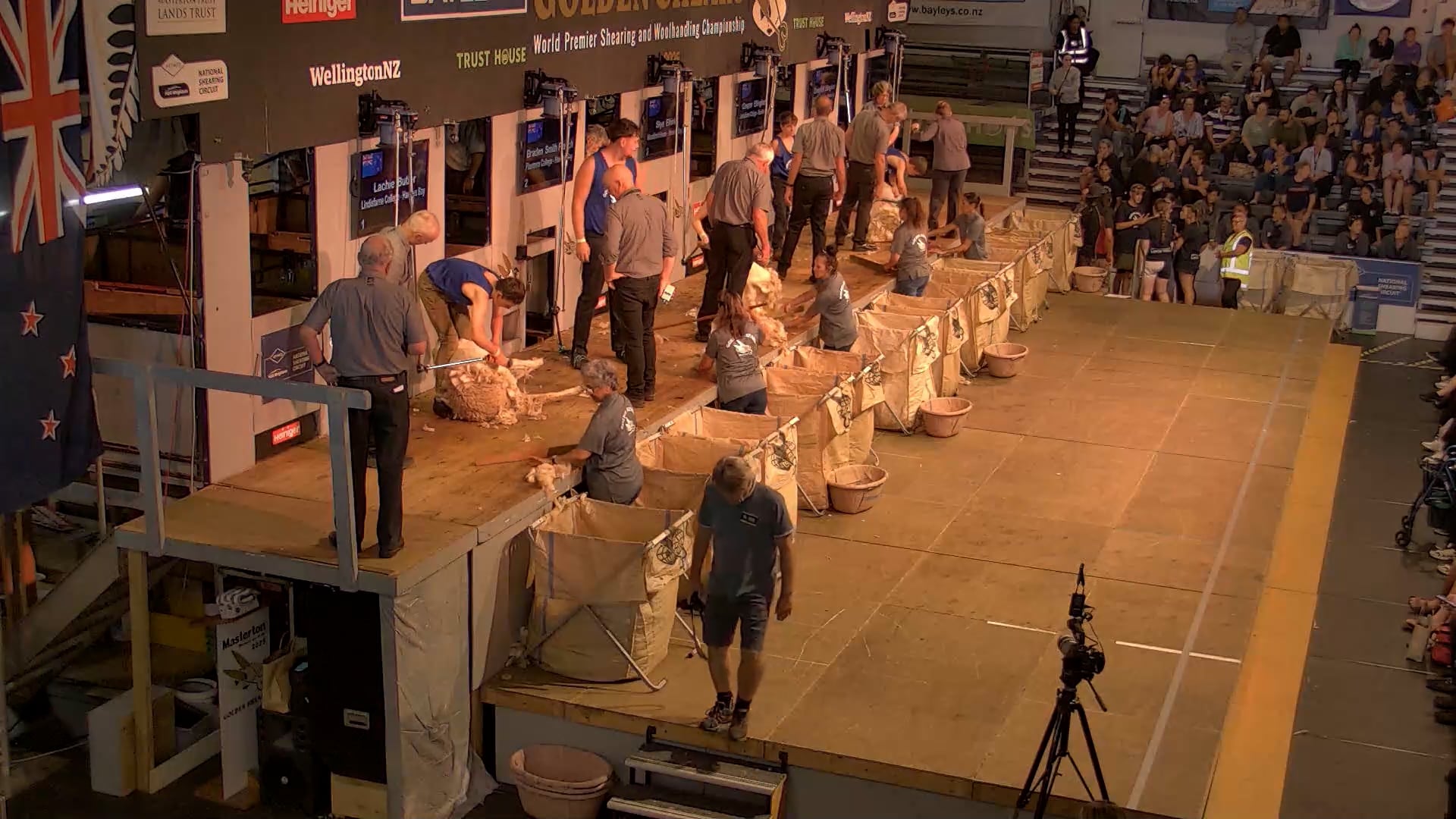 Novice Shearing Heats - Round 12