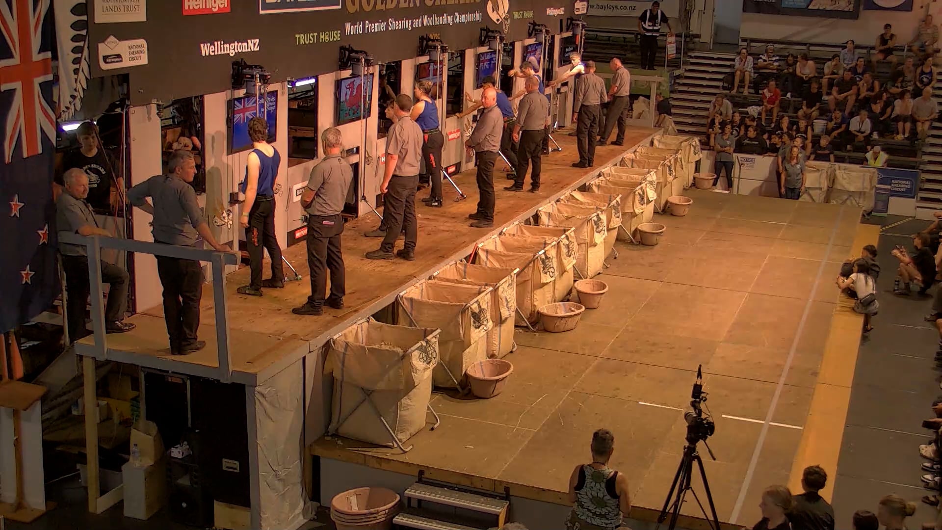 Junior Shearing Heats - Round 10