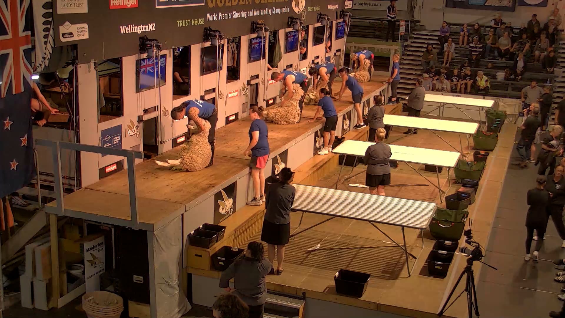 Junior Woolhandling Heats - Round 11