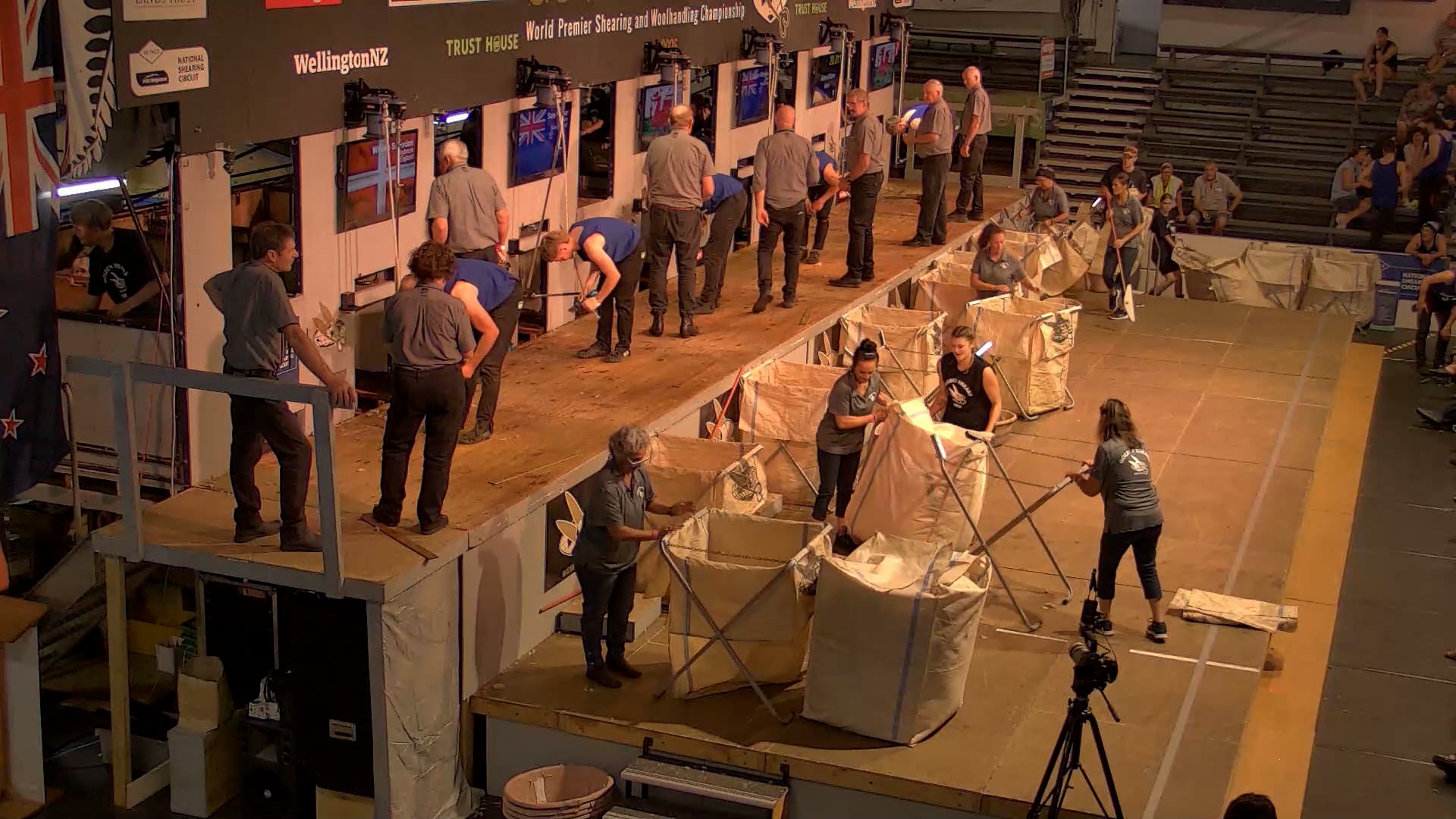 Intermediate Shearing Heats - Round 5