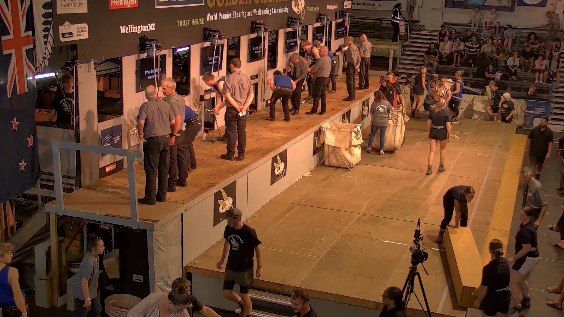 Junior Shearing Heats - Round 1