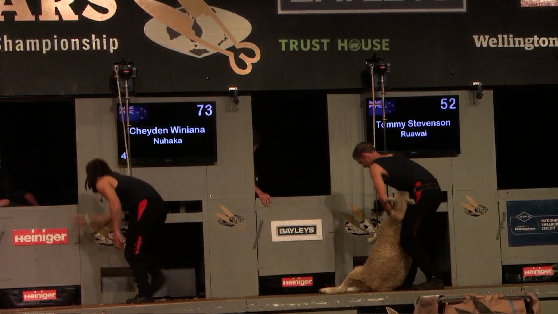 Senior Speed Shearing Heats - Round 5