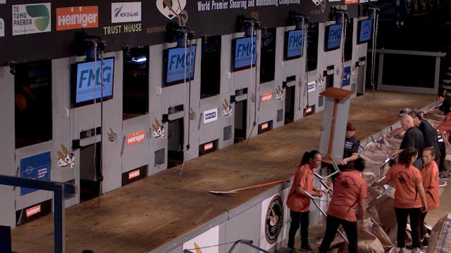 North Island Woolhandling Circuit (20...