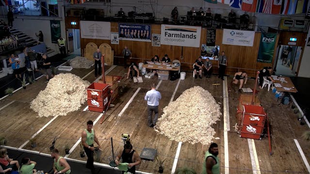 Powerco Senior Shearing  Heat 5