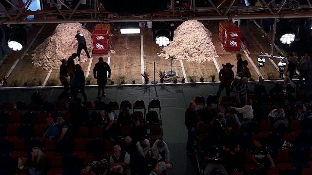 Student Shearing Challenge Shearing F...