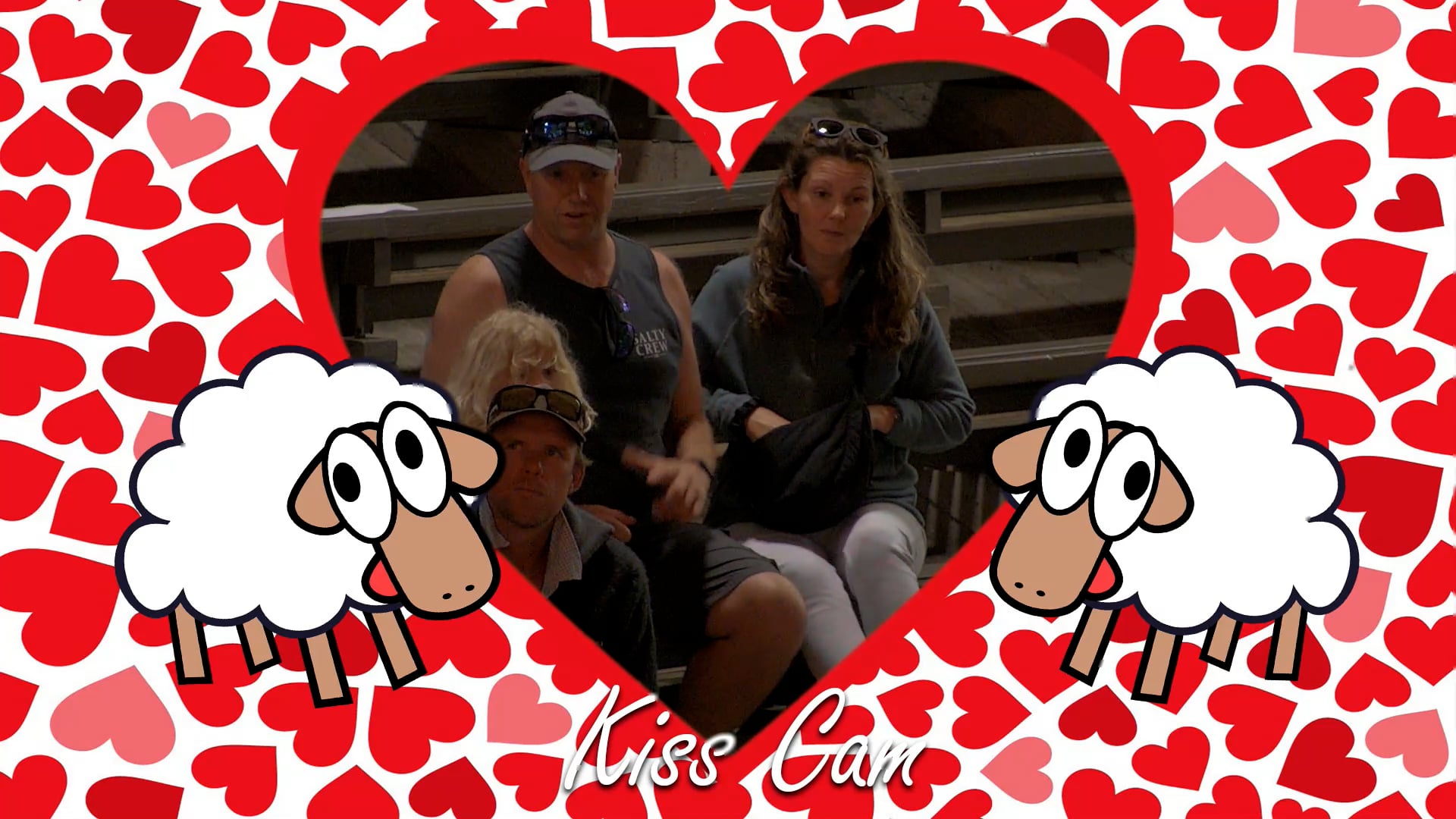 Open Speed Shearing Final - Round 1