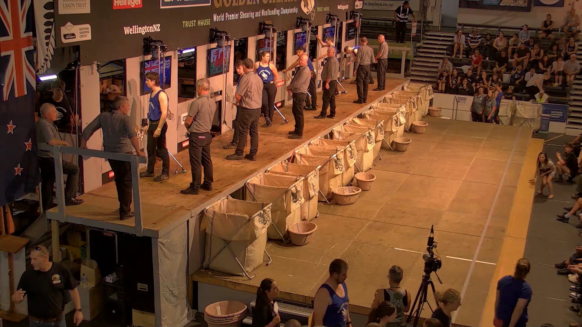 Junior Shearing Heats - Round 1_20250227_144532