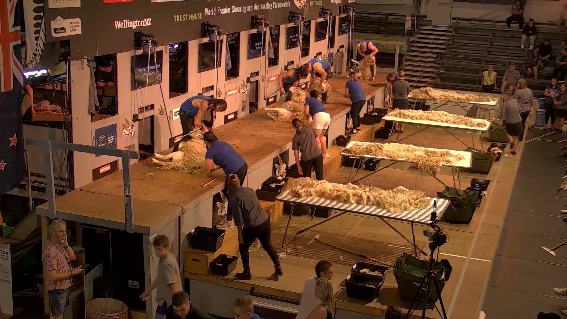 Open Woolhandling Heats - Round 2