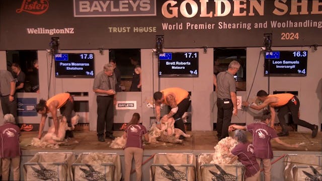 Bayleys  Open Shearing Heats Shearing...