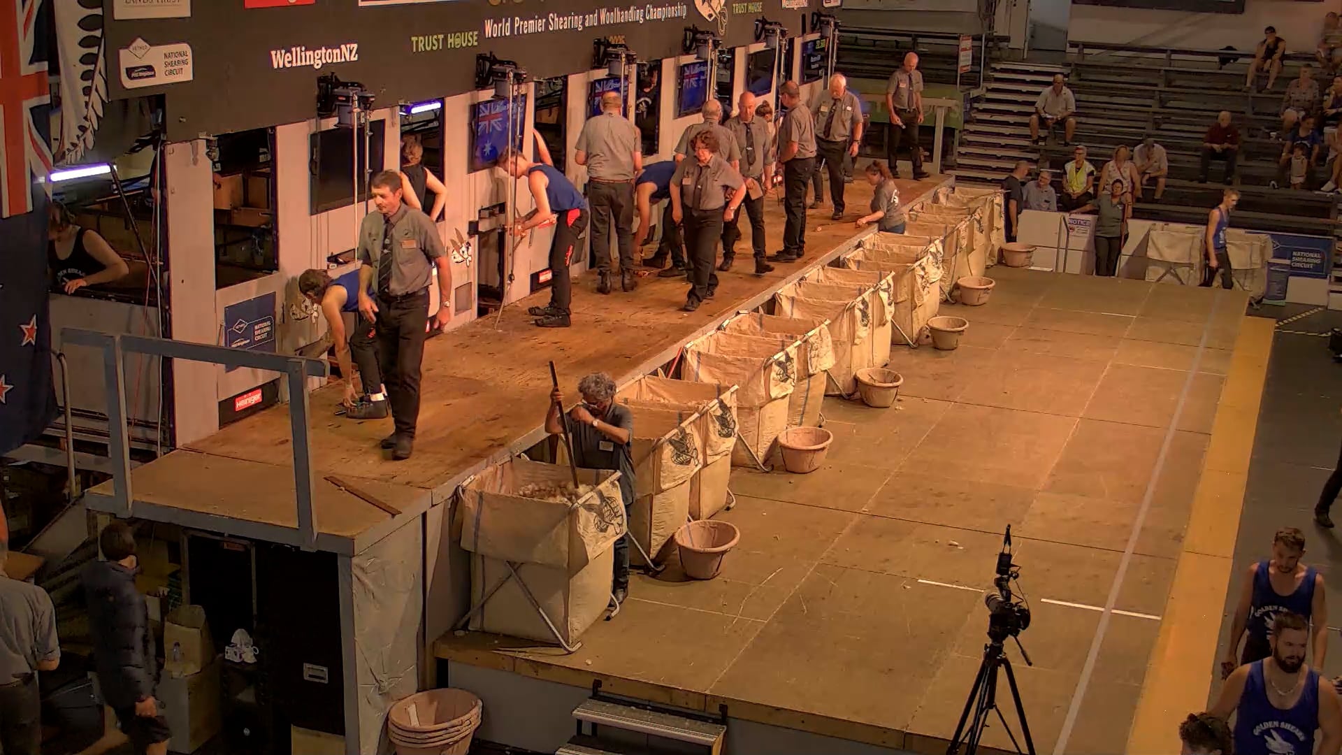 Intermediate Shearing Heats - Round 9
