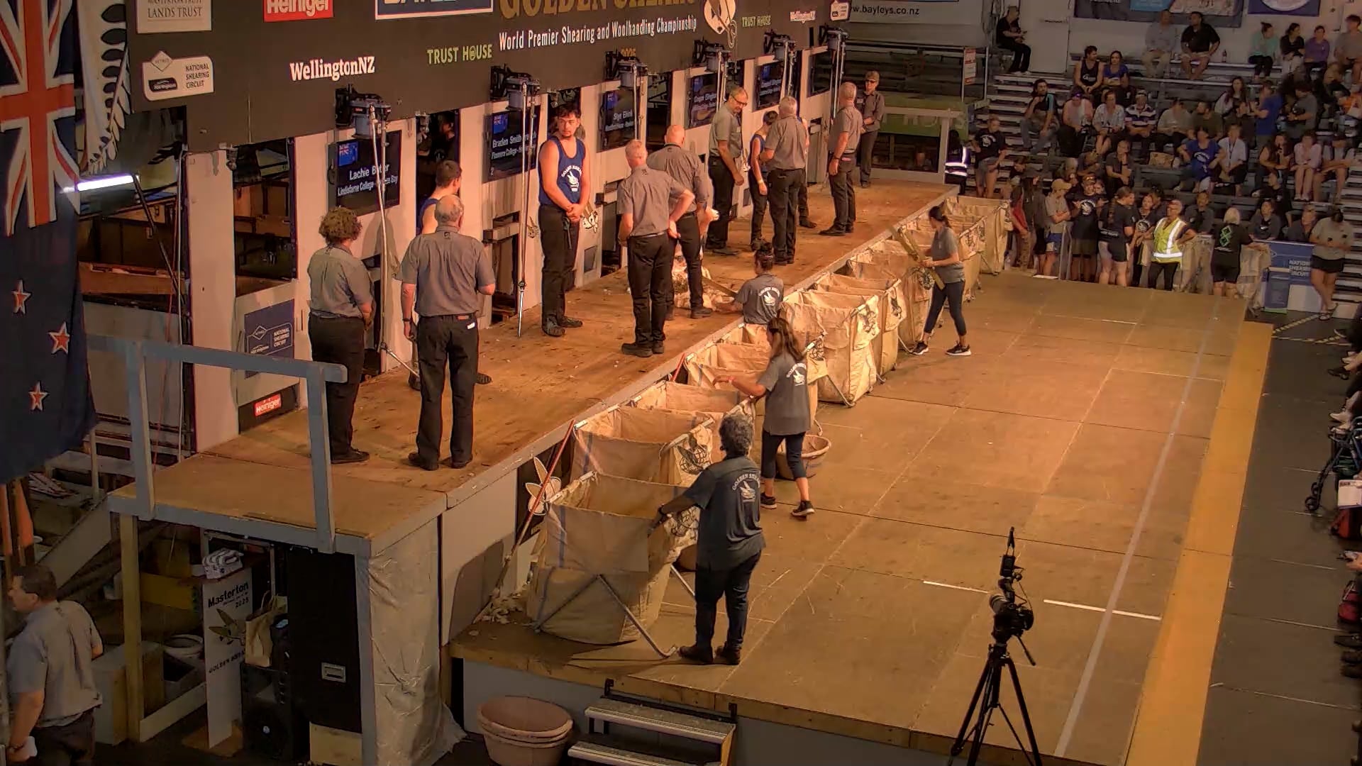 Novice Shearing Heats - Round 1_20250227_121419