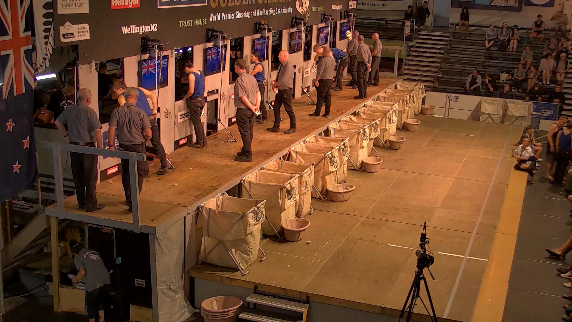 Junior Shearing Heats - Round 6