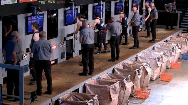 Senior Shearing Heats (2026) - Round 6
