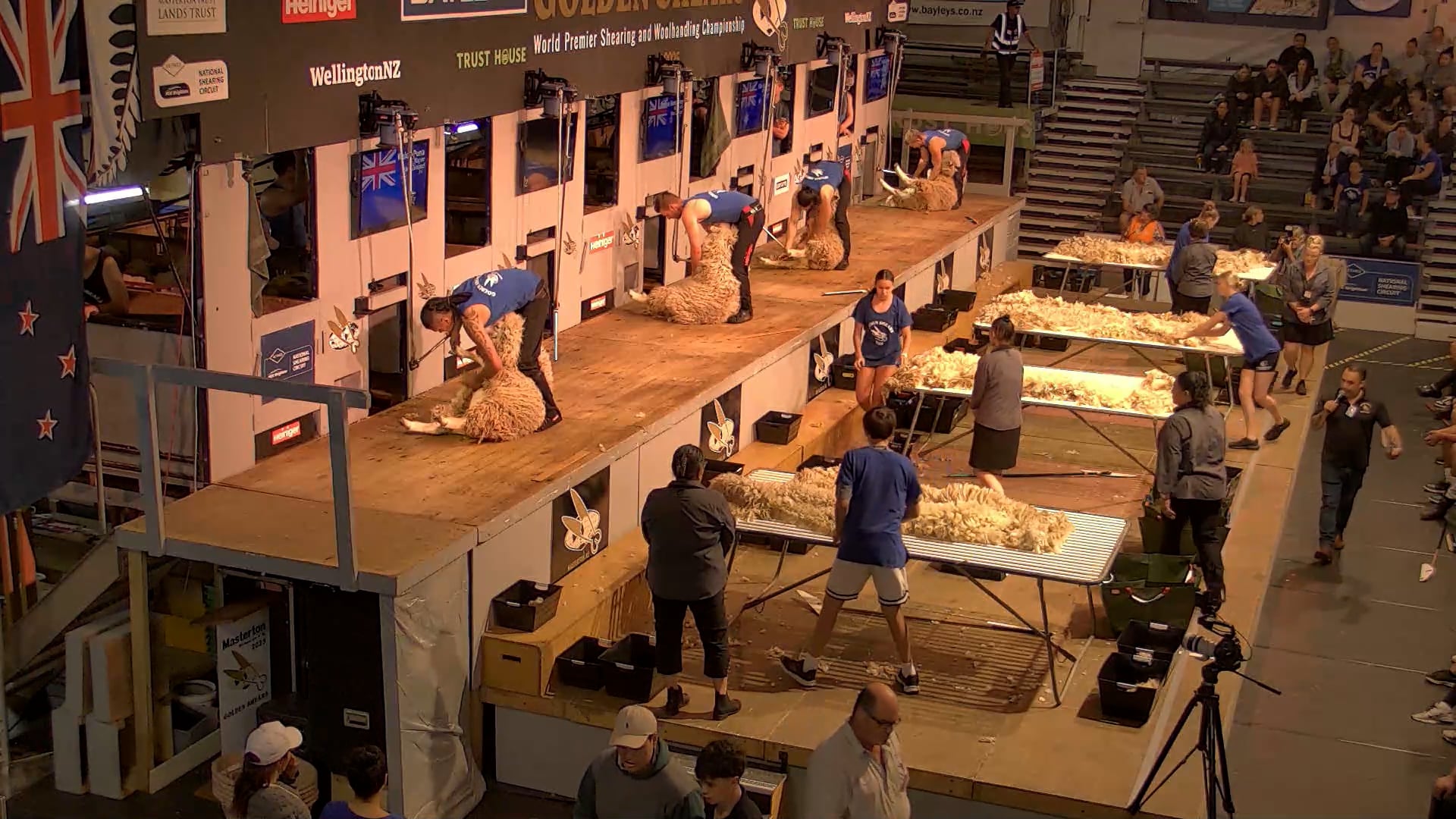 Junior Woolhandling Heats - Round 1_20250227_092117