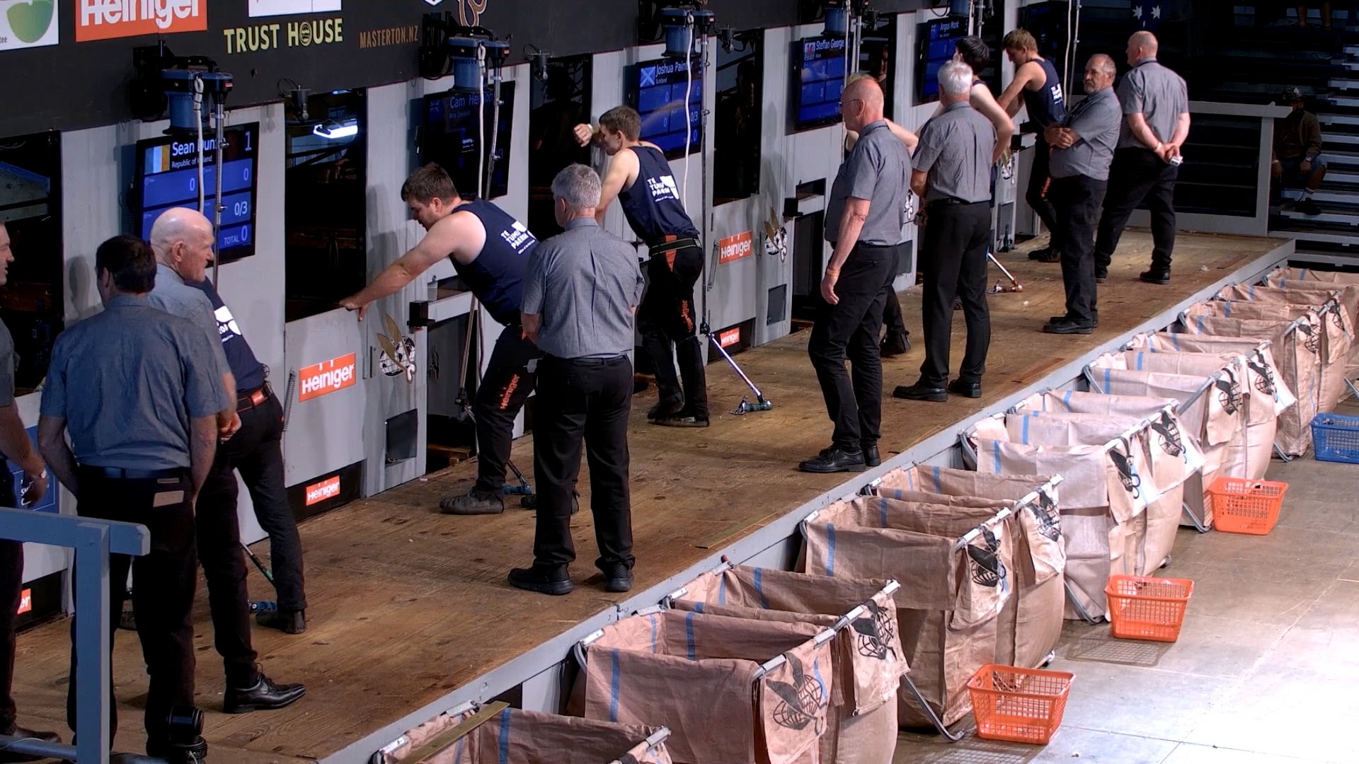 Junior Shearing Semi Finals (2026) - Round 3