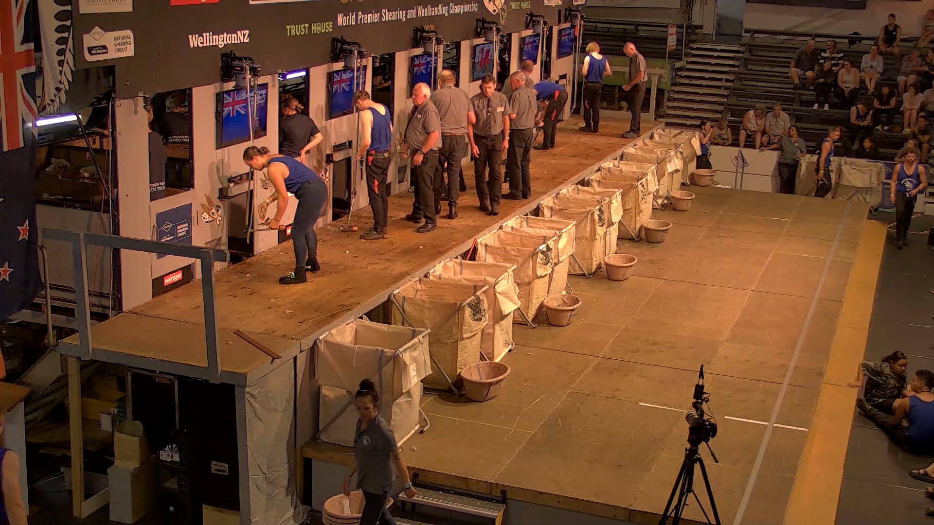 Intermediate Shearing Heats - Round 2