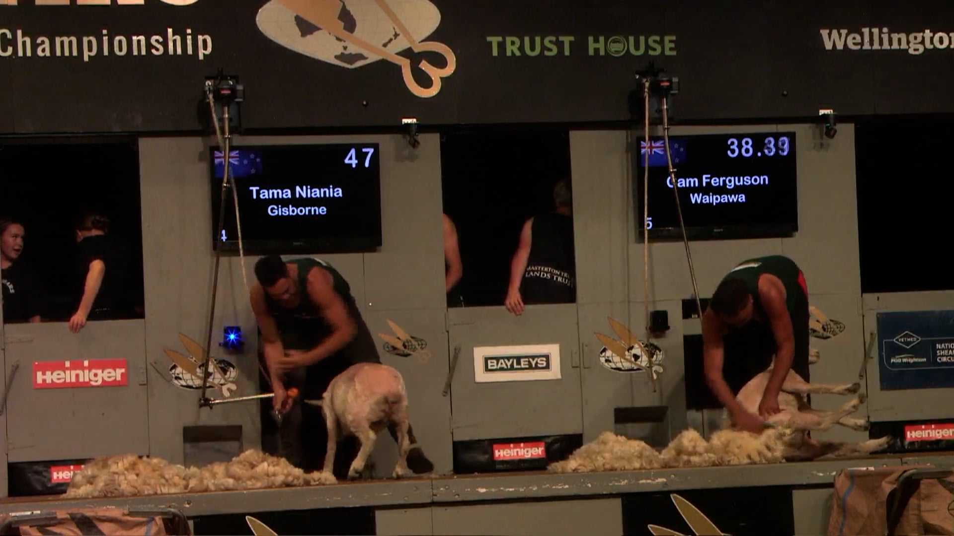 Open Speed Shearing Heats - Round 1