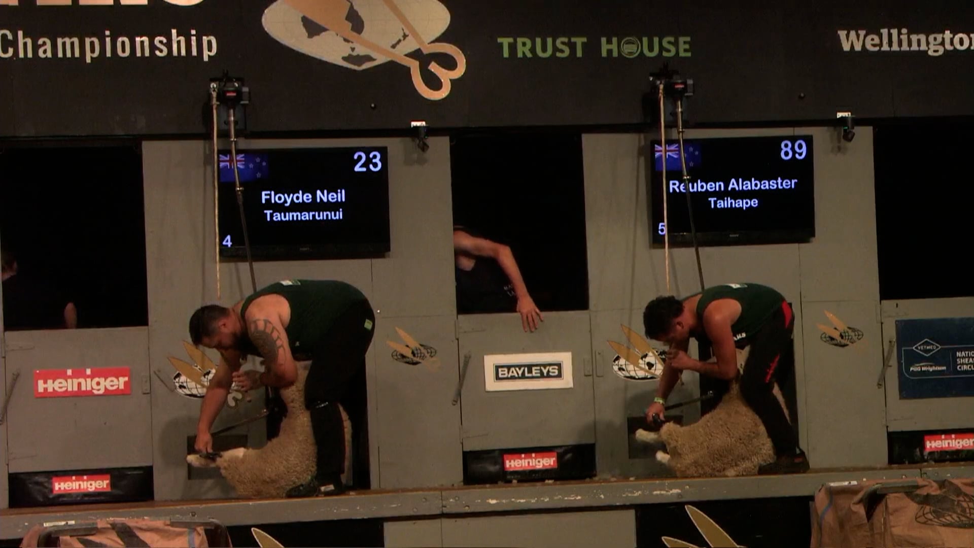 Open Speed Shearing Heats - Round 13