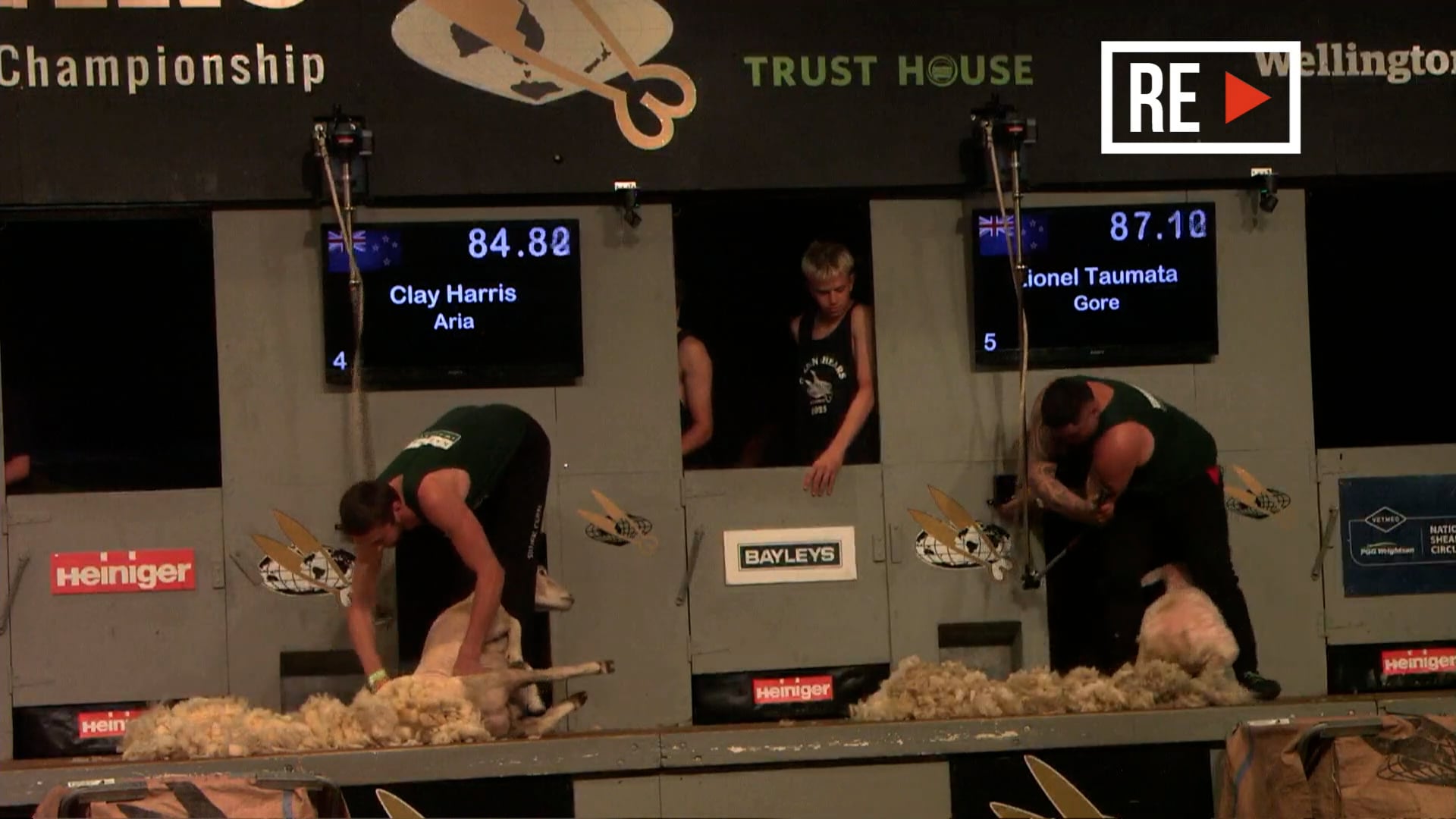 Open Speed Shearing Heats - Round 20