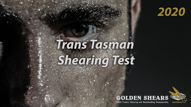 Trans-Tasman Shearing Test - 2020 Gol...