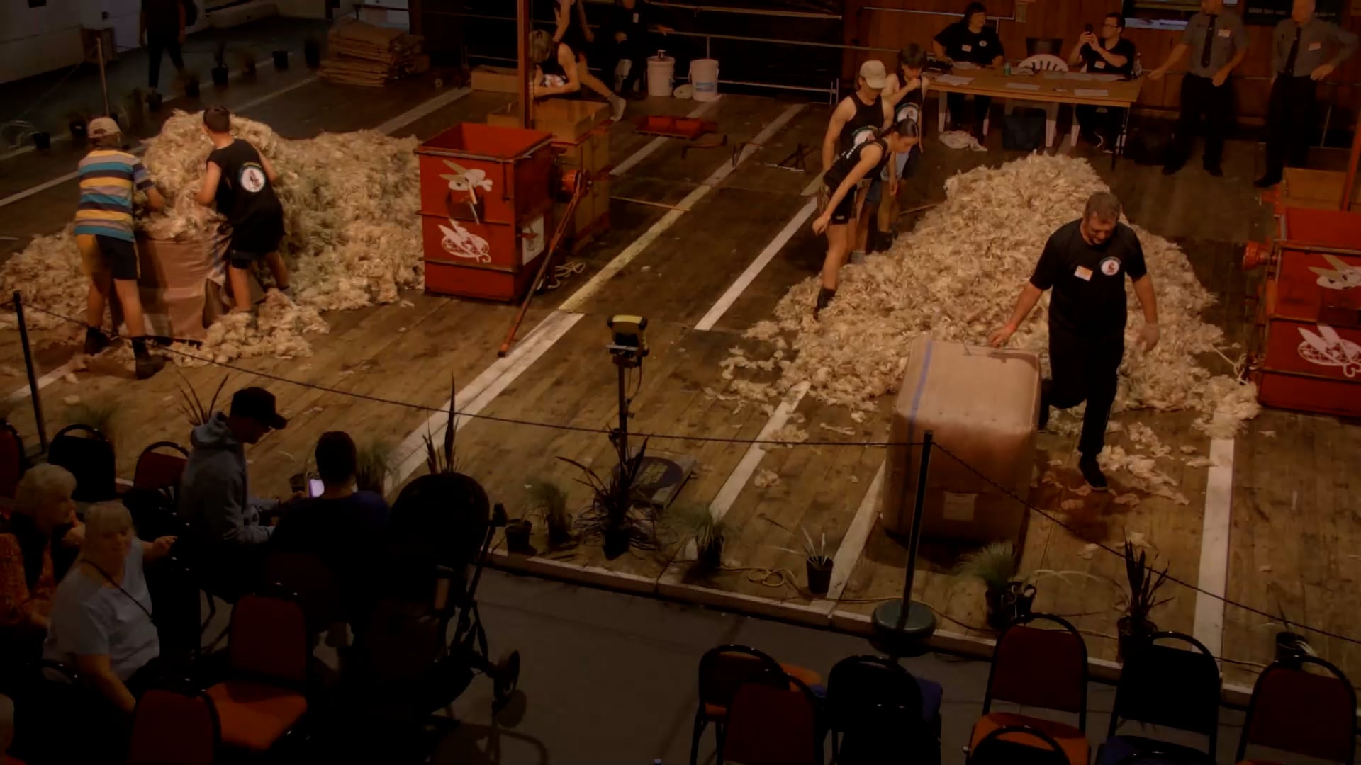 Senior Woolhandling Heats - Round 6