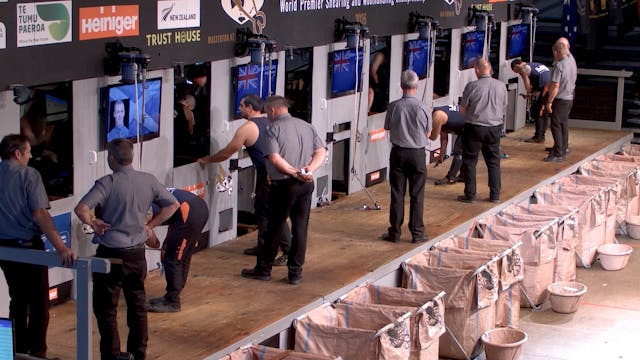 Open Shearing Heats (2026) - Round 9