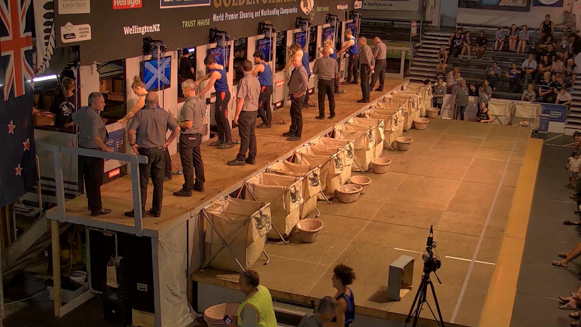 Junior Shearing Heats - Round 1_20250227_134659