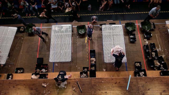 Open Woolhandling Semi Finals (2026) ...