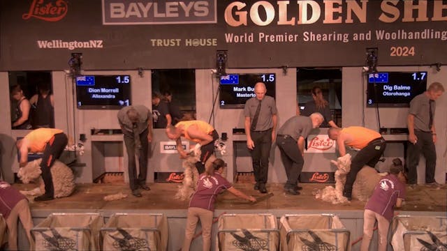 Bayleys  Open Shearing Heats Shearing...