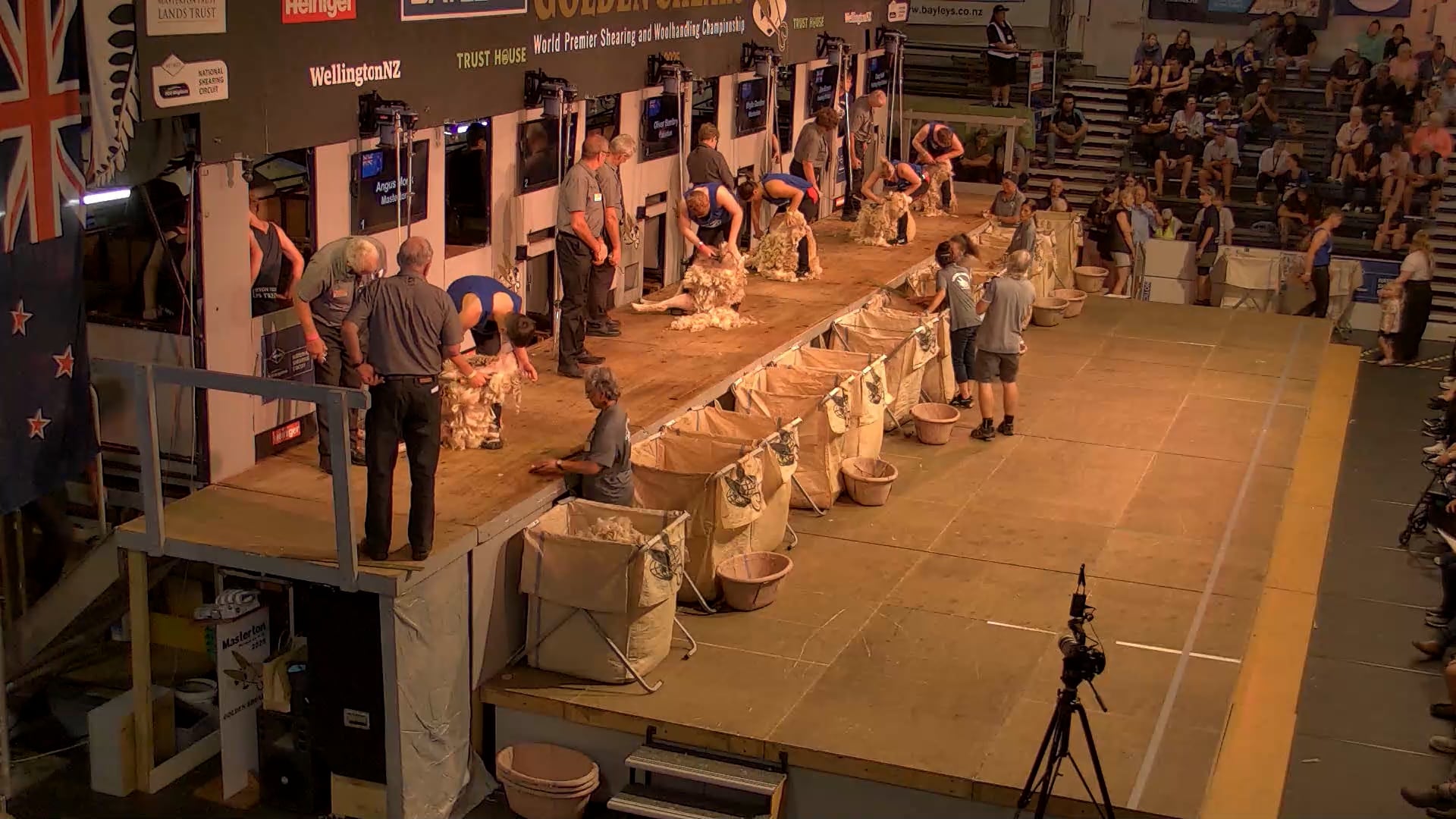 Novice Shearing Heats - Round 7_20250227_113408