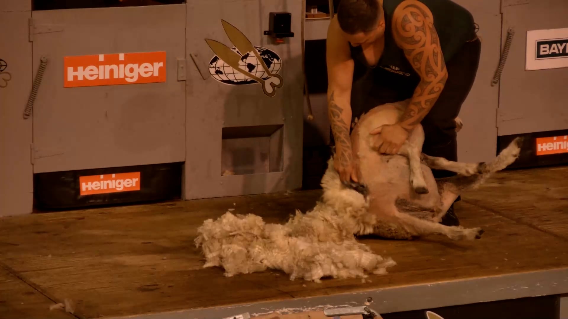 Open Speed Shearing Final - Round 3